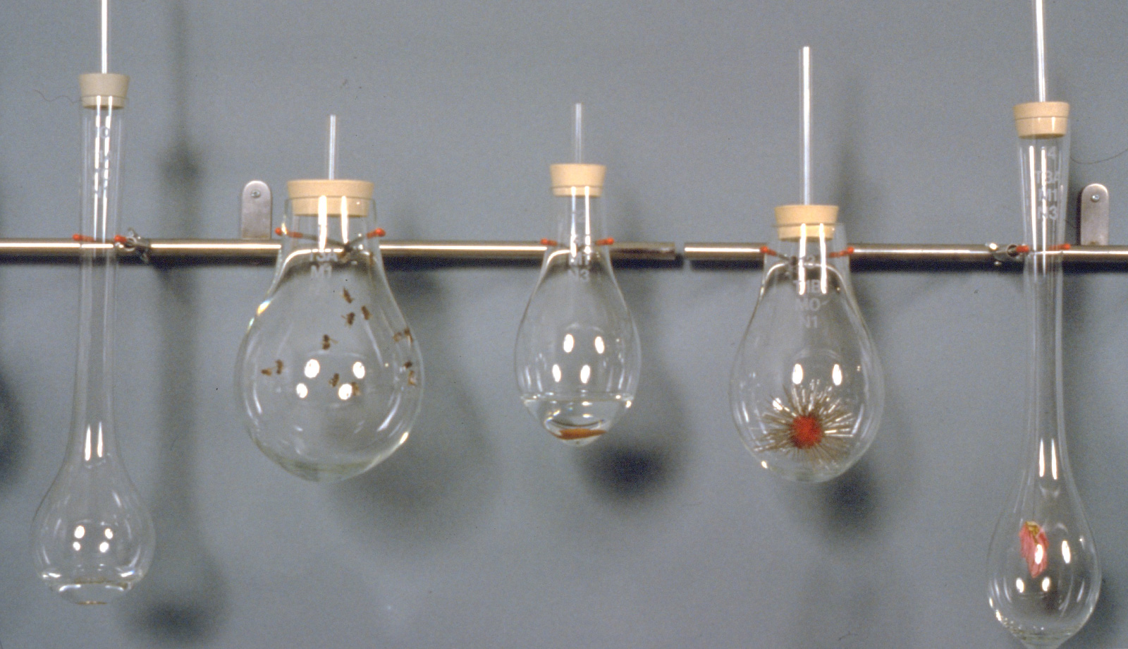 Don't Touch/Please Touch