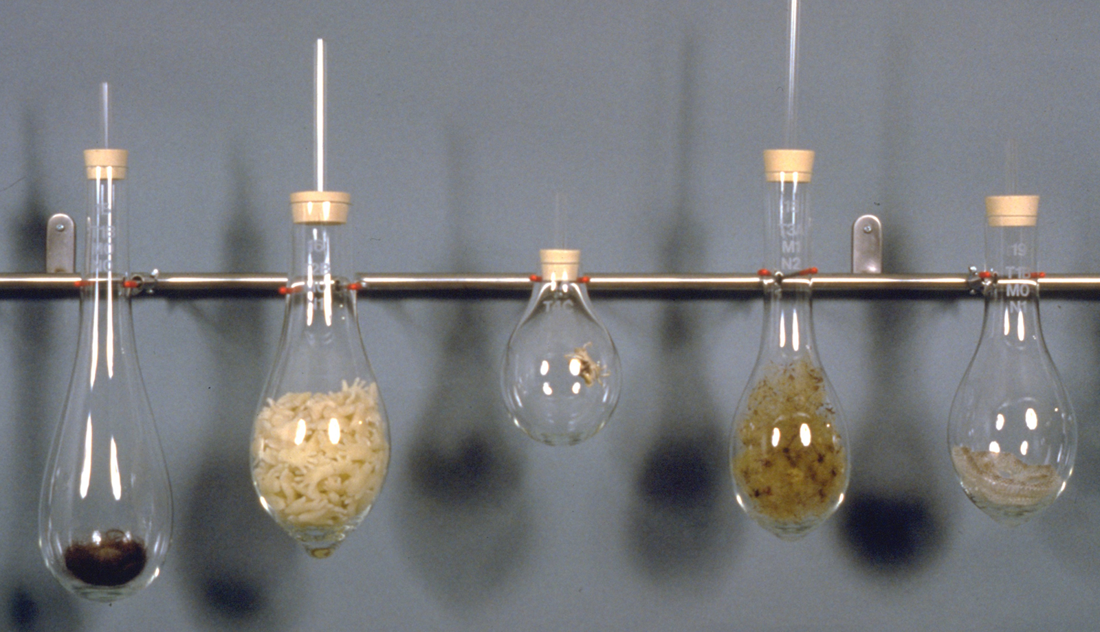 Don't Touch/Please Touch