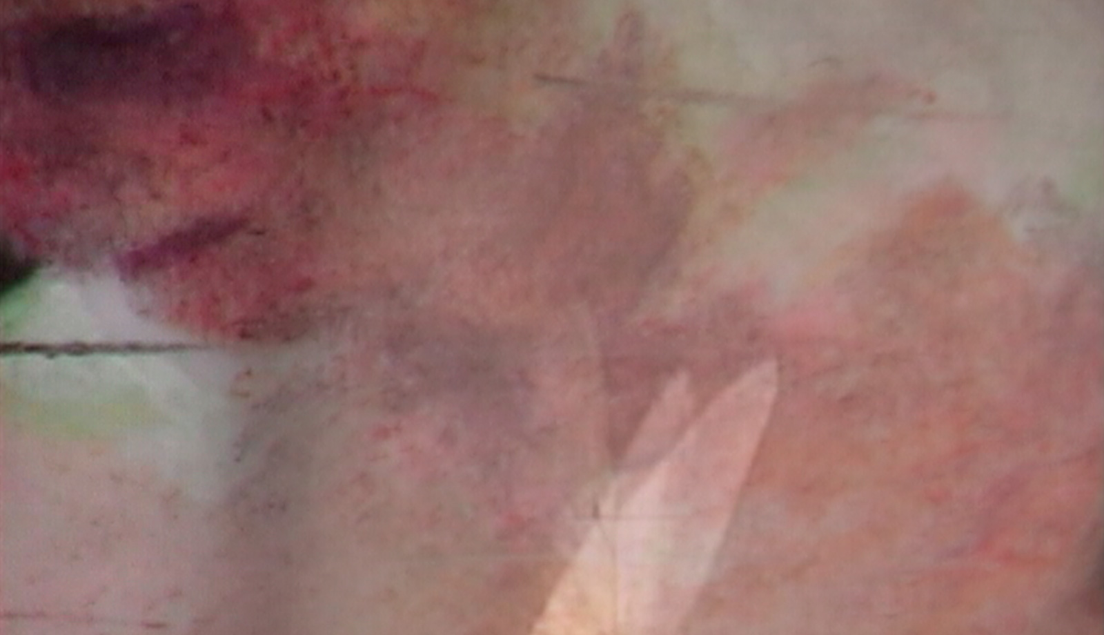 Brief as Water Falling