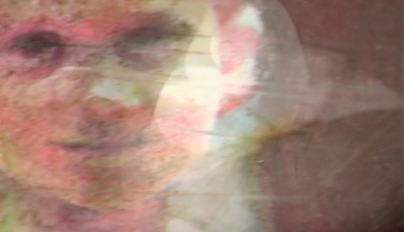 Brief as Water Falling