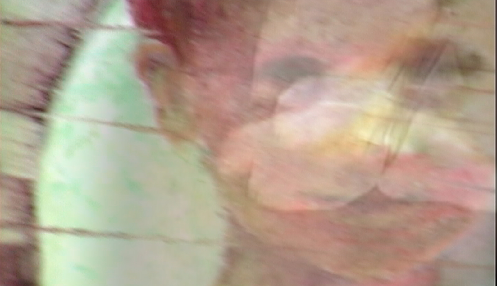 Brief as Water Falling