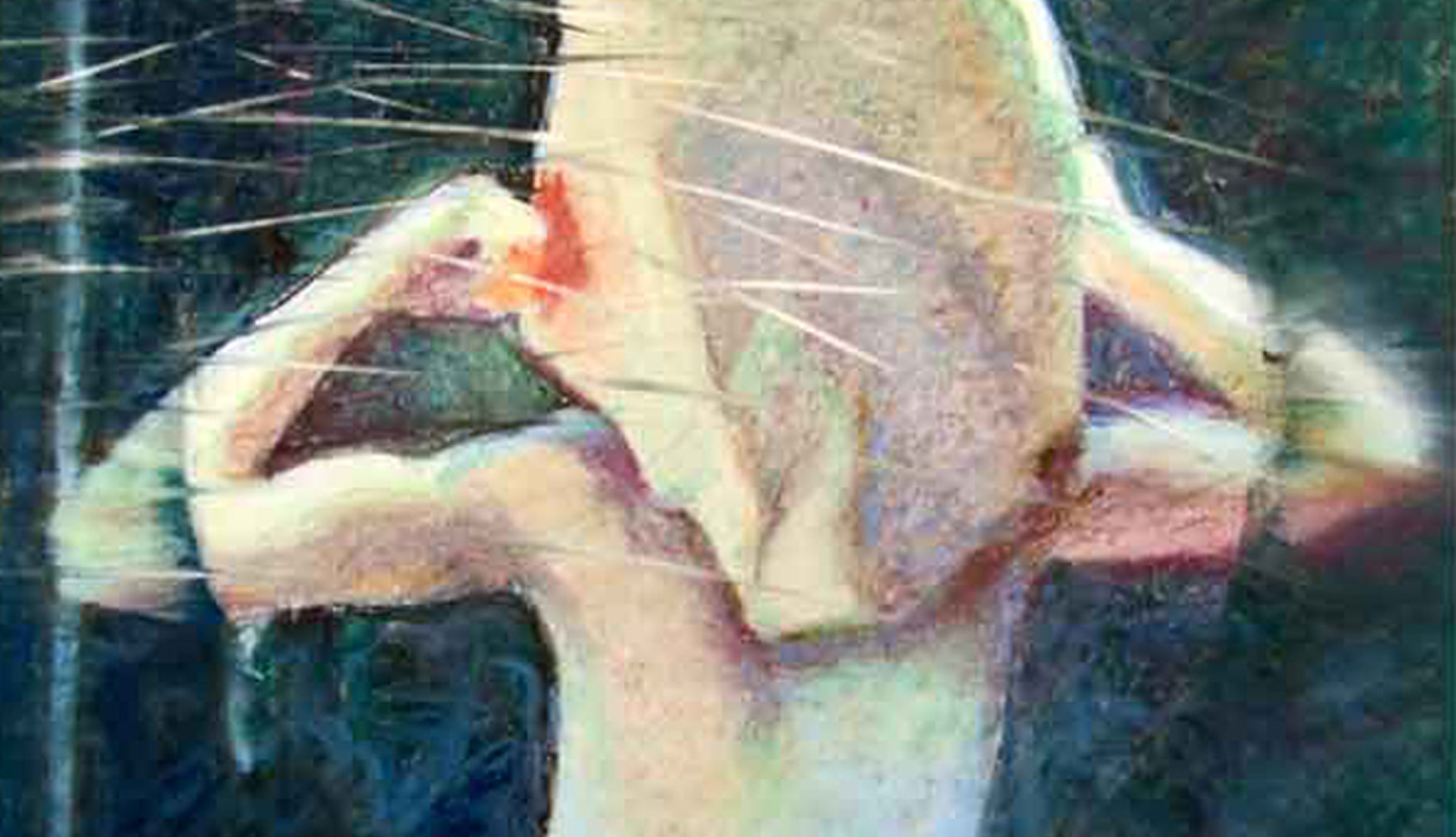 Brief as Water Falling